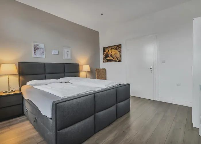 Hirsch Luchs - Zentral - Modern - Gross Bad Harzburg